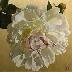 Peony I by Connie Lynn Reilly