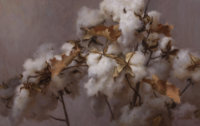 Cotton and Oak by Grace M. Devito