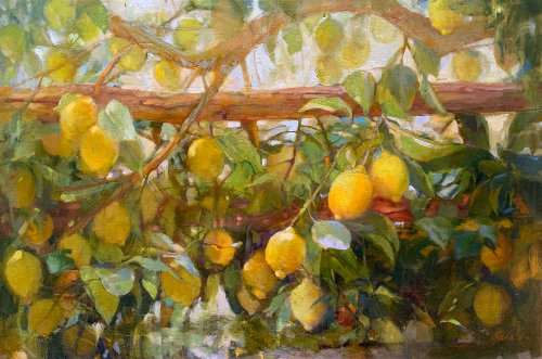 Profusion of Lemons by Gail C Morrison OPA