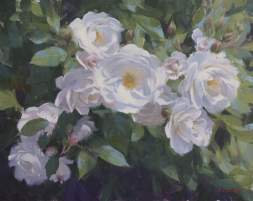 Sunshine and Roses by Laurie Kersey OPA